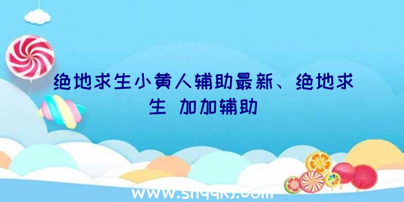 绝地求生小黄人辅助最新、绝地求生